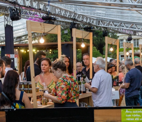 Encosta Verde Alvarinho 1 (100ml) - Image 3